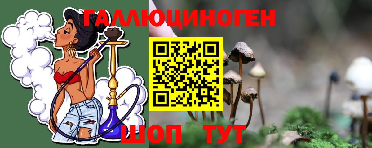 Псилоцибиновые грибы Psilocybine cubensis Ртищево